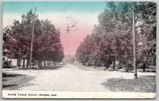 North Union Street Delphi Indiana 1913 Postcard Tree Lined Ave picture