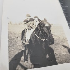 Farm Scene Boys Children Riding Horse Vintage Photo picture