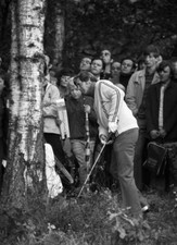 American Doug Sanders is trapped among the trees on the 18th h- 1972 Old Photo picture