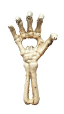 Cast Iron Bent Finger Skeleton Hand & Forearm Beer Bottle Opener Skull picture