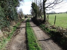 Photo 6x4 Mire Lane Cotherstone  c2017 picture