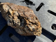 8.2 LB Natural Arizona Quartz Gold Ore, Huge Piece picture