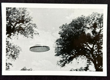 Original 1970's Apolinar “Paul” Villa UFo Space Alien Snapshot photo #1 picture