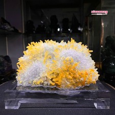8.3LB  Natural Golden Chrysanthemum Quartz Cluster withCalcite Mineral Specimen picture