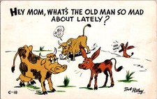 Vtg Postcard Cartoon Humor Hey Mom Whats the Old Man so Mad About Cow Pregnant picture