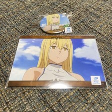 DanMachi RAFFLE Lottery Ais Wallenstein Set of 2 picture