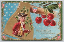 George Washington Hatchet Cherry Tree Birthday Nash Postcard 1912 picture