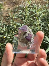STUNNING Pyrite on Purple Fluorite - Mongolia picture