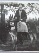 Antique 1914 rppc woman riding side saddle donkey vintage real photo postcard picture