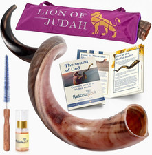 HalleluYAH Original Kosher Half Polished Kudu Shofar Israel picture