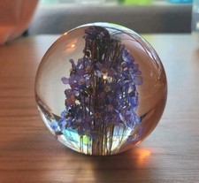 Vintage Hafod Grange 99' Forget-me-nots Paperweight 2.5”  Clean Clear Resin picture