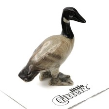 Little Critterz Goose - Canada Goose 