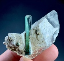 174 Carat Tourmaline Crystal On Quartz Specimen From Afghanistan picture