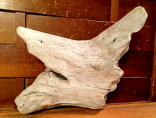 natural scavenged Driftwood Art 9