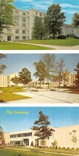 3~Postcards Columbia MO University Of Missouri  LIBRARY~HALL A & E DORMS~COMMONS picture