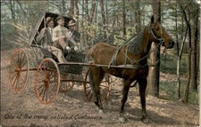 Cincinnati OH Wilber H. Murray Horse & Buggy Advertising c1910s Postcard bhn picture