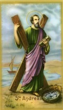 ST. ANDREW - Laminated  Holy Cards.  QUANTITY 25 CARDS picture