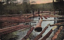Shohola Camp Creek Falls Pike county PA Log Drive Logging Lumber Vtg Postcard F8 picture