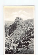 Chimney Tops Great Smoky Mountains National Park Tennessee USA H-53459 picture