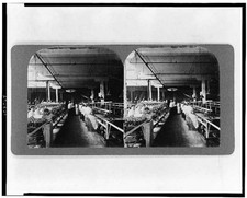 Chicago Illinois 1909 Armour and Company Bacon Packing Union Stock Yards picture