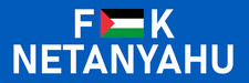 Anti Netanyahu Palestine Flag Sticker Large 3x9 Israel Prime Minister picture