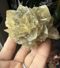 Gypsum var / Golden Selenite Red River Floodway~ Winnipeg, Canada 7x6cm picture