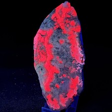 Large Rich Fluorescent Tugtupite: Taseq Slope, Ilímaussaq, Kujalleq, Greenland picture