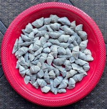 Wholesale Lot Mucrospirifer thedfordensis Brachiopods - Trilobite Era picture