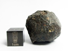 NWA 869 Meteorite 20.86g Awesome Aerolite  picture