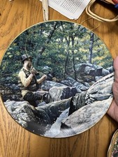 Wild Wings Limited Edition Fishing Collector Plate Mark Susinno 1998 picture