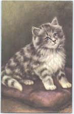 Beautiful Postcard W/ Soft Rich Colors.  Cat Sits on Pillow Artist-Babbington picture
