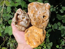 3 Quartz PNW SUGAR AGATE Rocks w/ Inclusions & Hexagonal Crystals (2.8Lb TOTAL) picture