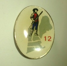 Region 12 Telephone Pioneers of America Lapel Pin Volunteers Network picture
