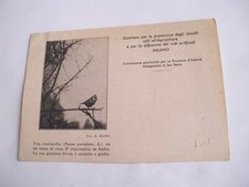 Milan Committee for the Protection of Birds - a chinciarella - sp f g 1936 picture