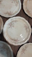 Vintage W. S. George Radisson Dinner Plates with Floral Design picture
