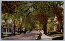 Main Street Palmer MA Massachusetts Tree Lined Street Postcard O5 picture