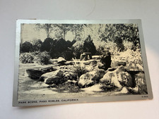 Park Scene Paso Robles CA Postcard Posted 1945 picture