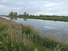 Photo A2 The Ouse Washes - Reflections in The New Bedford River Wardy Hi c2014 picture