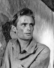 DAVID MCCALLUM PRINTS AND POSTERS 105858 picture