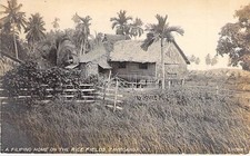 A Filipino Home On The Rice Fields, Zamboanga, Philippines, RPPC picture