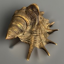 Vintage Bronze Finish Spider Conch Seashell 6.75” Long picture