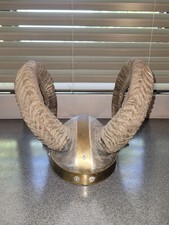 Viking Style Ram Horn Helmet Real Domestic Ram Horns Rustic Decor OOAK  picture