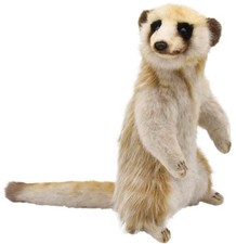 HANSA Youth Meerkat Plush picture