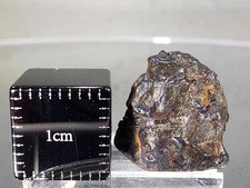 NWA 16099, Pallasite PMG, 2.01g, Meteorite as found, displays olivine crystals picture
