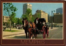 Vintage Memphis TN Horse & Carriage Sightseeing Kina Italia Postcard DLK-005 picture