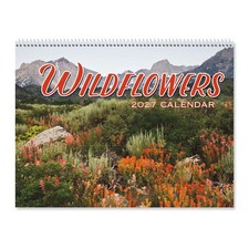 Current 2027-2028 Wall Calendar | Wildflowers, 9
