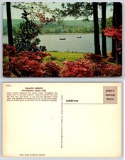 Callaway Gardens Pine Mountain Georgia Lake Fishermen Floral Postcard BA335 picture