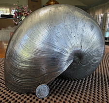 Maitland Smith Silverplate Nautilus Shell  Beachy Seashell Decor Gorgeous Heavy  picture