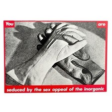 Barbara Kruger: 'You are seduced by the sex appeal of the inorganic' Photograph picture