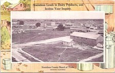 Lithograph Modesto CA Town View Stanislaus Dairy Advertising early 1900s picture